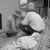 Thumbnail of post image 158