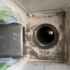 Thumbnail of post image 087