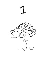 淀川天然ウナギの捕り方