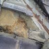 Thumbnail of post image 008