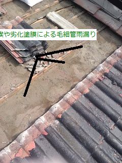 こちらの屋根や雨水が逆流する毛細管雨漏りの厚型スレート屋根でございます
