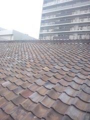 マンションが近くに建ち風向きが変わった瓦屋根