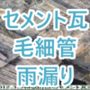 Thumbnail of new posts 065
