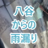 Thumbnail of new posts 106