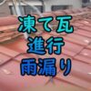 凍て瓦進行雨漏り