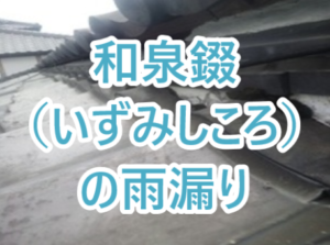 和泉錣（いずみしころ）の雨漏り