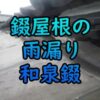 Thumbnail of new posts 178