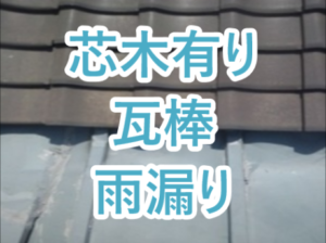 芯木有り瓦棒雨漏り