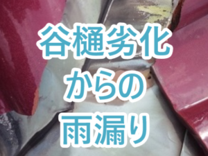 谷樋劣化からの雨漏り