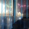Thumbnail of post image 015