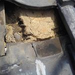 Thumbnail of new posts 049