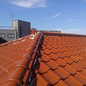 Thumbnail of post image 024