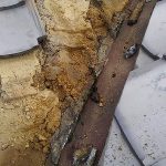 Thumbnail of new posts 060