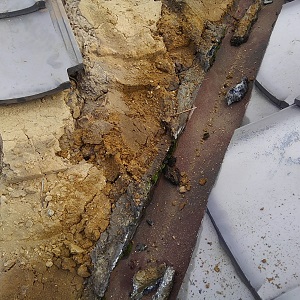 Thumbnail of post image 182