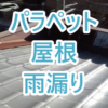 Thumbnail of new posts 158