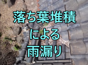 落ち葉堆積による雨漏り