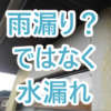 Thumbnail of new posts 085