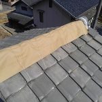 Thumbnail of new posts 019