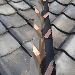 Thumbnail of post image 063