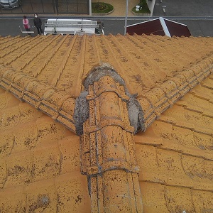 Thumbnail of post image 008