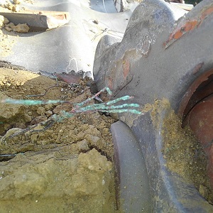 Thumbnail of post image 195