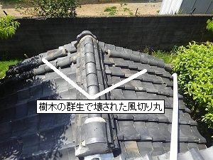 雨漏りから暮らしを守ろう