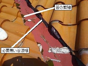 雨漏りから暮らしを守ろう（高槻市の修理診断記事）