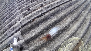 猪名川町での雨漏り修理調査