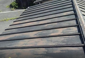天理市の板金屋根修理調査