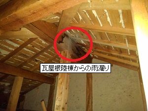 和泉市の雨漏り調査と応急処置