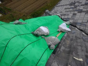 堺市の屋根修理調査（平屋建て）