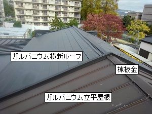 何も無くて良かったですね！屋根調査（西宮市）