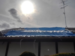 岸和田市での台風被害二次調査