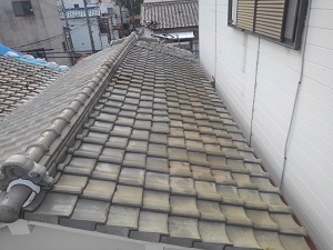 堺市堺区の雨漏り調査