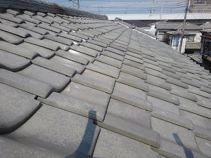 堺市中区での屋根修理調査