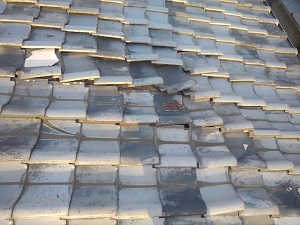 堺市西区の屋根修理調査