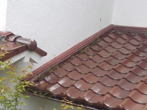 塩焼き瓦の屋根修理調査