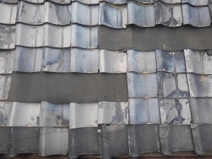 岸和田市の屋根修理調査