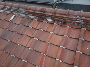 寝屋川市の瓦屋根雨漏り修理調査