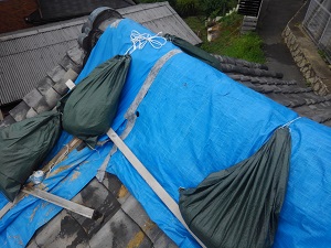 和泉市での瓦屋根雨漏り応急処置