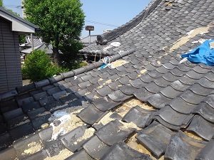 堺市の本堂瓦屋根修理調査