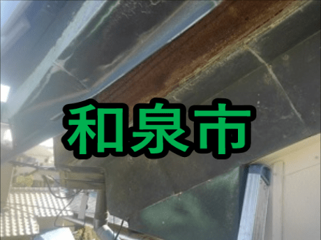 和泉市の雨漏り修理や屋根修理！愛の現場レポート！
