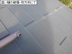 大阪府枚方市の屋根修理