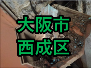 大阪市西成区の雨漏り修理や屋根修理！愛の現場レポート！