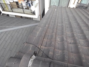 高槻市の瓦屋根修理調査