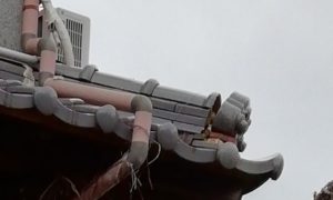 一緒に頑張りましょうね