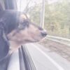今日から俺は