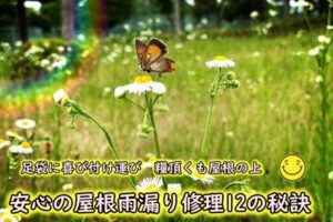 安心の屋根雨漏り修理１２の秘訣