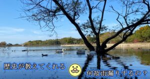 歴史が教えてくれる何故雨漏りするの？