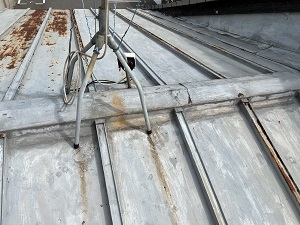 生野区での板金屋根修理調査